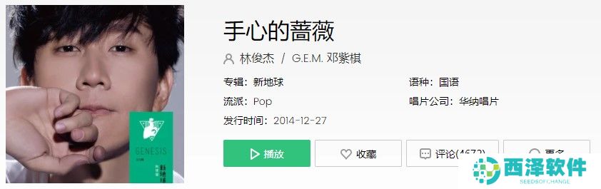 《抖音》手心的蔷薇歌曲信息介绍
