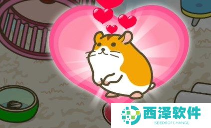 蜡笔小新之小帮手大作战照顾仓鼠通关方法