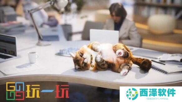 生活模拟游戏《inZOI》TGS预告片公布