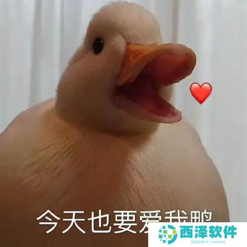 《抖音》最新抓鸭子表情包大全分享