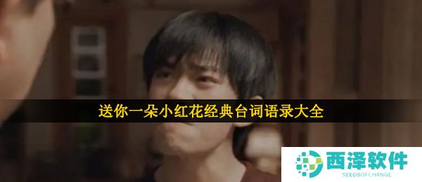 送你一朵小红花经典台词语录大全