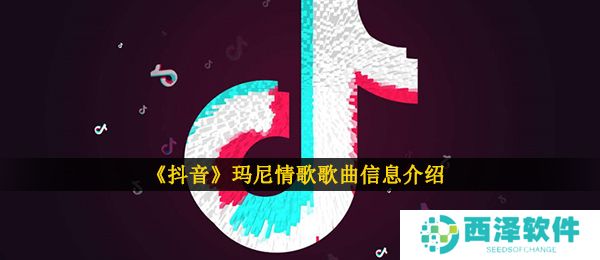 《抖音》玛尼情歌歌曲信息介绍