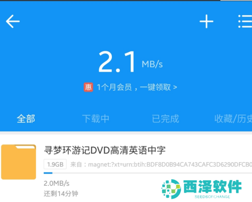 磁力猫app怎么下载视频3