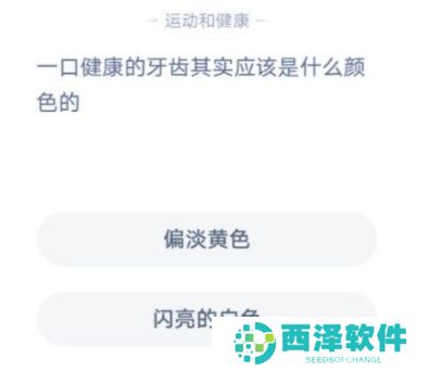 2021《支付宝》1月4日每日一题答案（4）