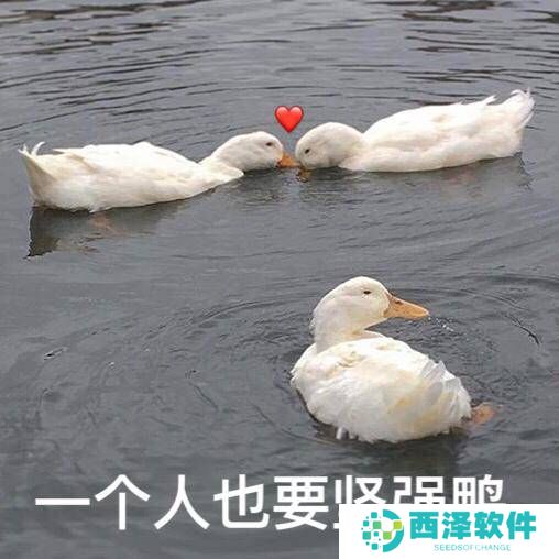 《抖音》最新抓鸭子表情包大全分享