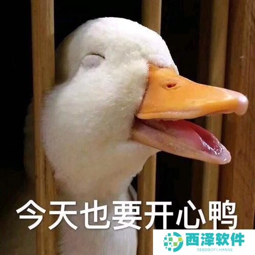 《抖音》最新抓鸭子表情包大全分享