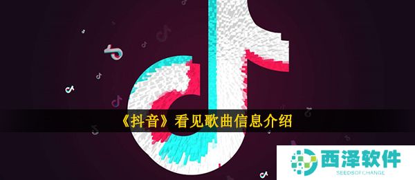 《抖音》看见歌曲信息介绍