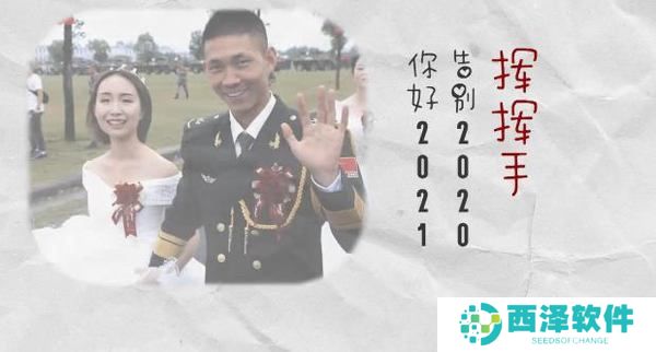 2020最难忘的手势图分享