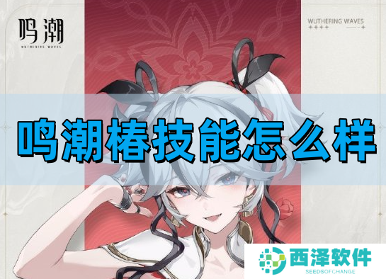 鸣潮椿技能介绍以及培养材料