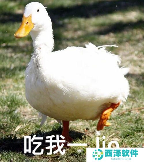 《抖音》最新抓鸭子表情包大全分享