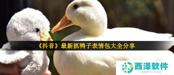 《抖音》最新抓鸭子表情包大全分享