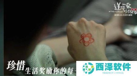送你一朵小红花经典台词语录大全