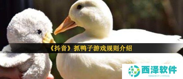《抖音》抓鸭子游戏规则介绍