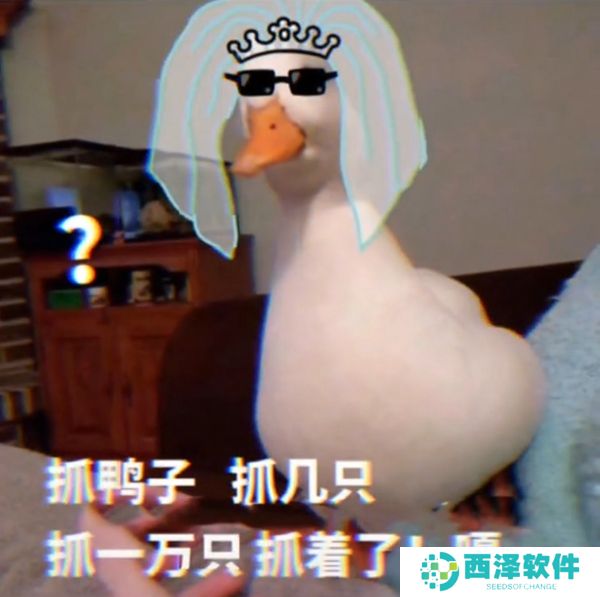 《抖音》最新抓鸭子表情包大全分享