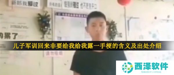儿子军训回来非要给我给我露一手梗的含义及出处介绍