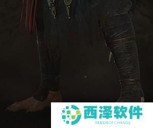 黑神话悟空绵布腿绷怎么获得