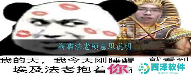 海猫法老梗意思说明