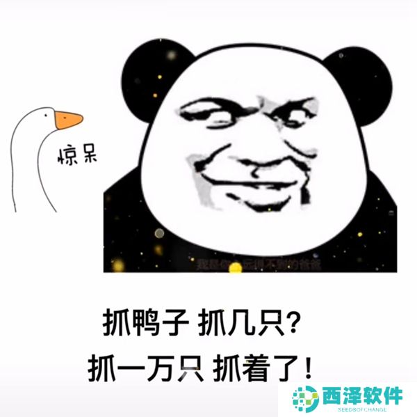 《抖音》最新抓鸭子表情包大全分享