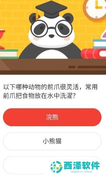 2021《微博》1月4日森林驿站每日一题答案