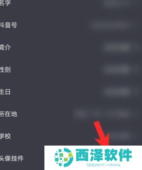 《抖音》2021年头像挂件设置教程