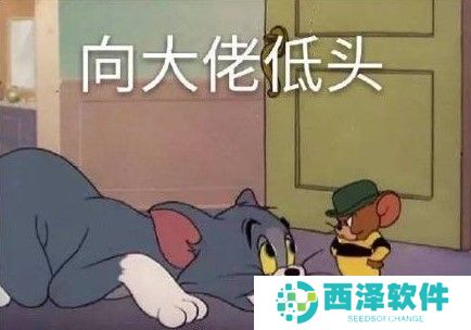 2021年超好听的微信昵称大全分享