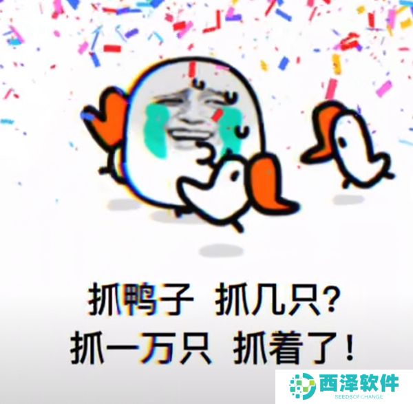 《抖音》最新抓鸭子表情包大全分享