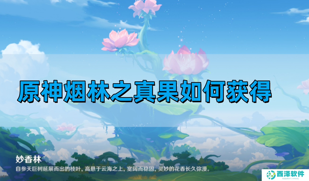 原神烟林之真果如何获得