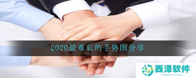 2020最难忘的手势图分享
