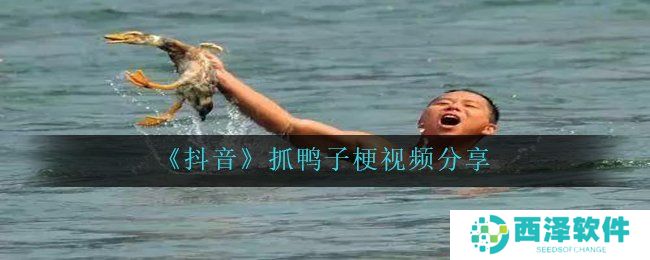 《抖音》抓鸭子梗视频分享
