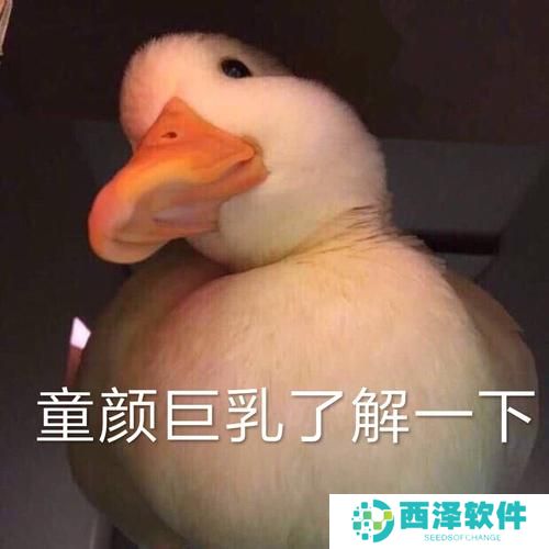 《抖音》最新抓鸭子表情包大全分享