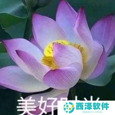 2021年最好听的微信昵称英文版