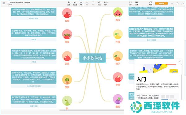 Xmind