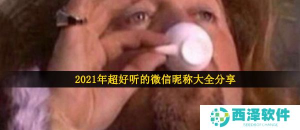 2021年超好听的微信昵称大全分享