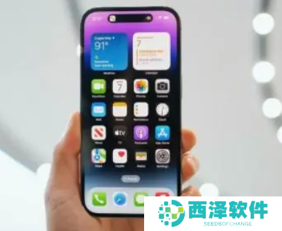 苹果灵动岛功能怎么玩 苹果灵动岛功能设置教程