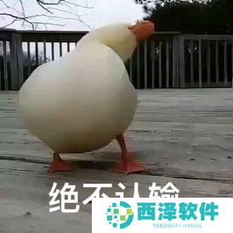 《抖音》最新抓鸭子表情包大全分享