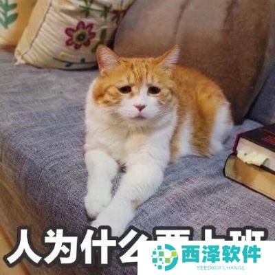 2021年最好听的微信昵称英文版
