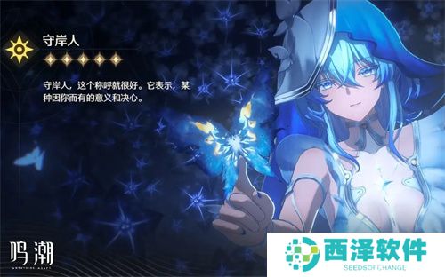 鸣潮守岸人阵容配队及输出手法介绍