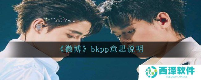 《微博》bkpp意思说明