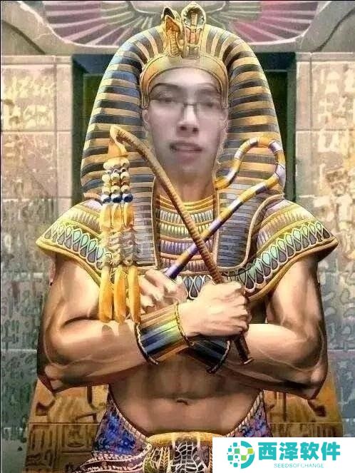 海猫法老梗意思说明