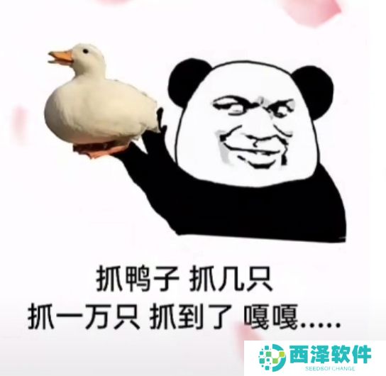 《抖音》最新抓鸭子表情包大全分享