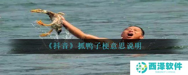 《抖音》抓鸭子梗意思说明