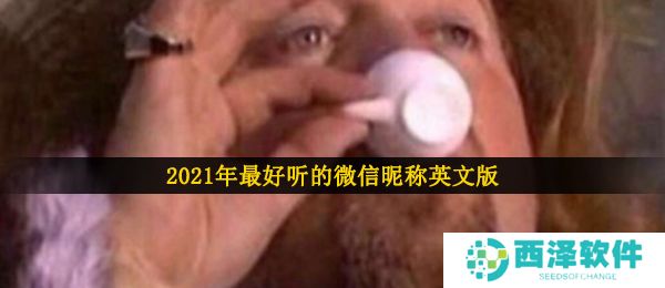 2021年最好听的微信昵称英文版