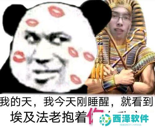 海猫法老梗意思说明