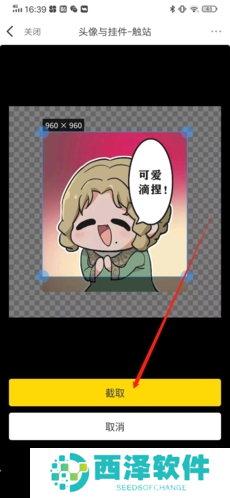 触站app9