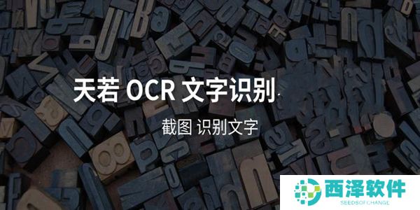 天若OCR文字识别