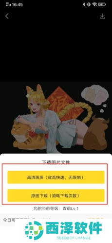 触站app17