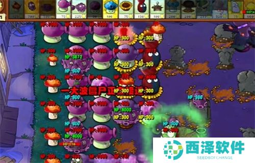 PVZ杂交版益智模式忧郁咖啡豆3通关详解