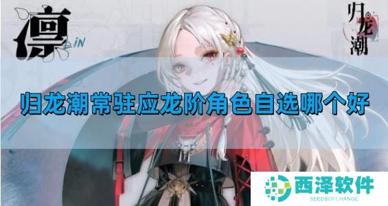 归龙潮常驻应龙阶角色自选哪个好