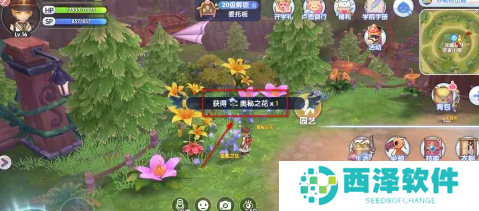 仙境传说新启航奥秘之花如何获得