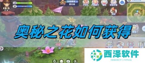 仙境传说新启航奥秘之花如何获得